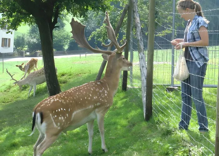 Scharbachhof Διαμέρισμα *